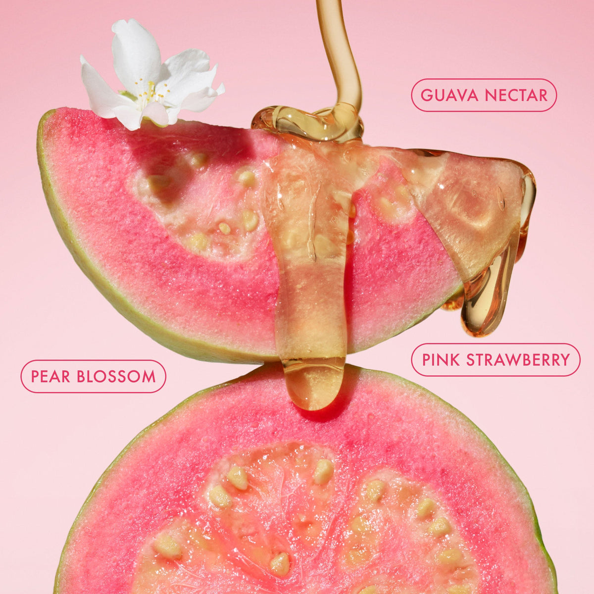 body-fragrance-mist-pink-guava-travel-size-y6 BodyButterBalmPinkGuava_3.jpg