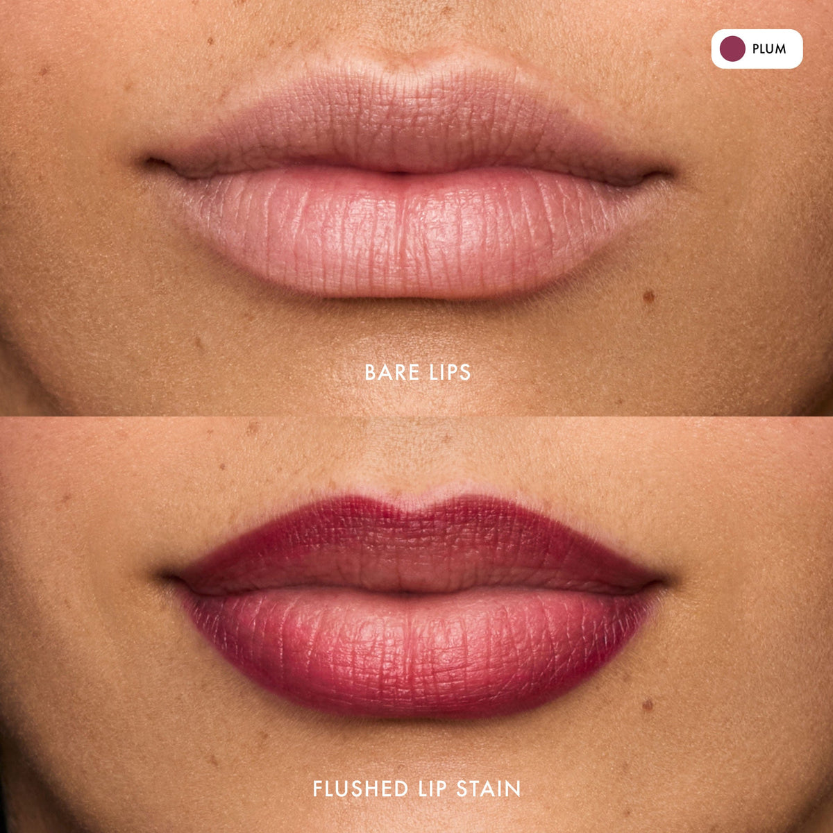 flushed-lip-stain-plum-m2 FlushedLipStain_Plum_B_A.jpg