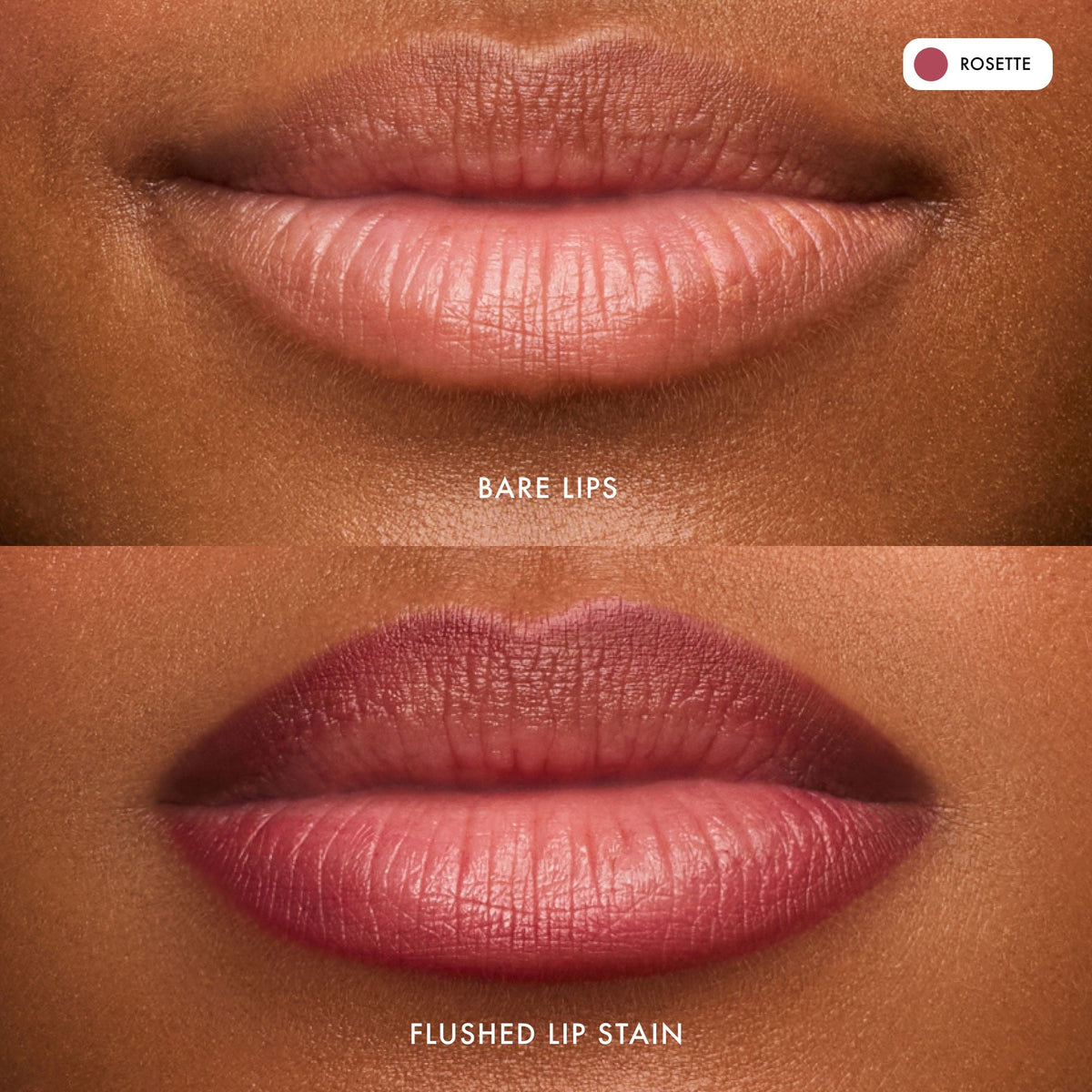 flushed-lip-stain-rosette-v6 FlushedLipStain_Rosette_B_A.jpg
