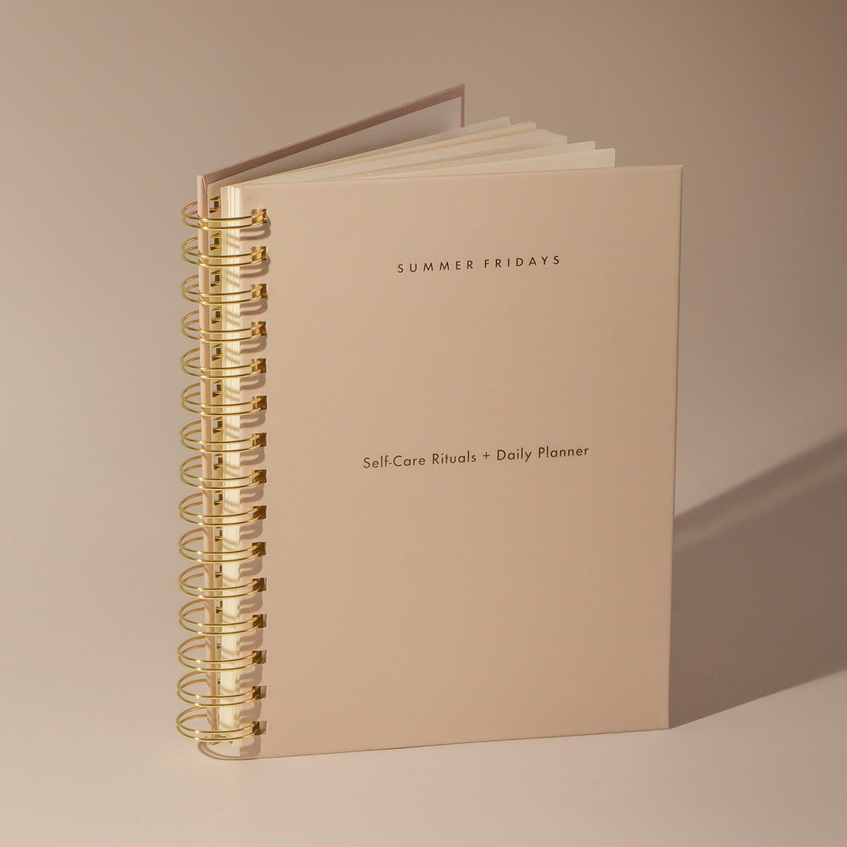 self-care-rituals-daily-planner-z4 Planner-Main-V2.jpg