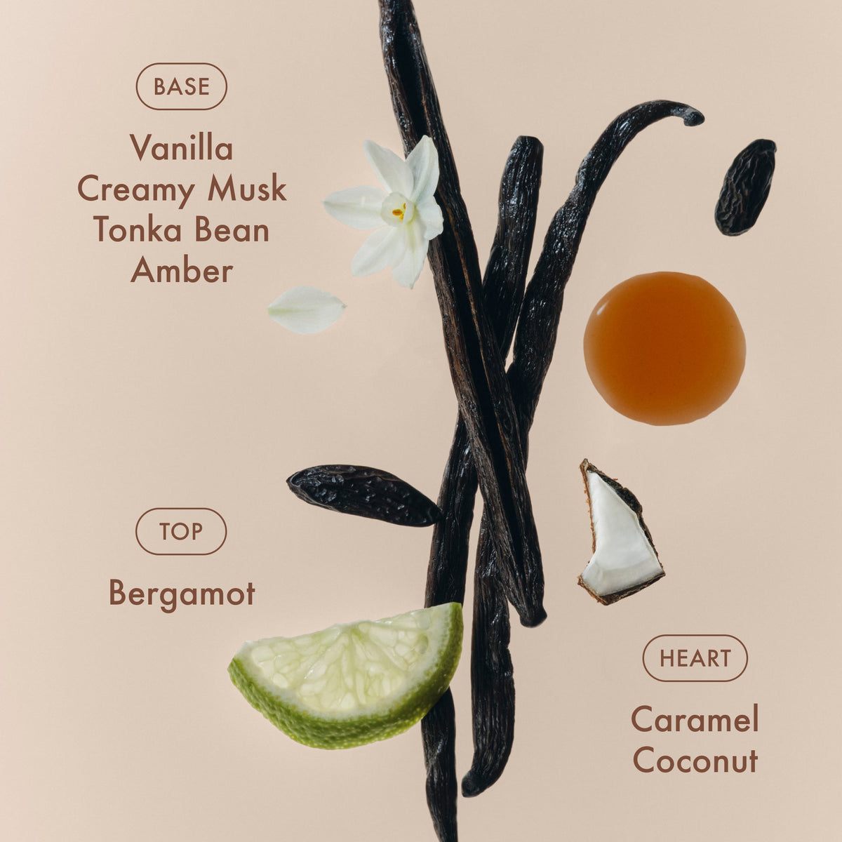 sunlit-vanillatm-eau-de-parfum-travel-size-c9 SunlitVanilla_4.jpg